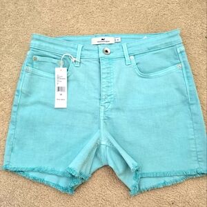 Vinyard Vines Teal Blue Denim Shorts